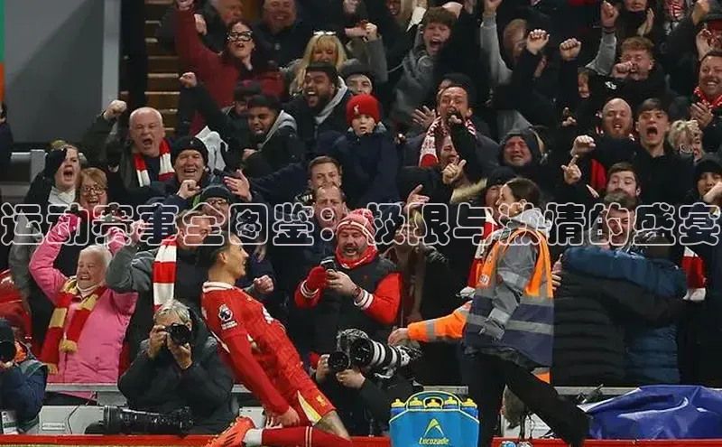 k1体育娱乐平台下载官网