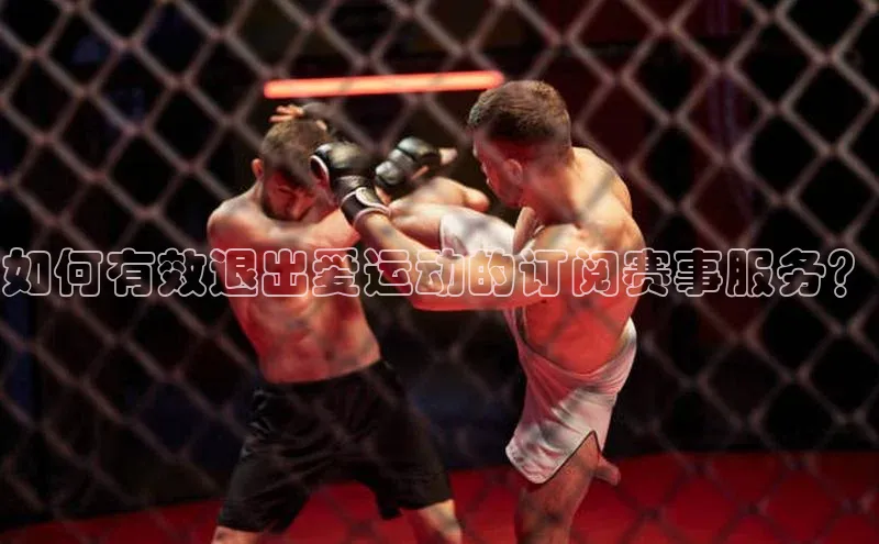 k1体育官网登录入口网址