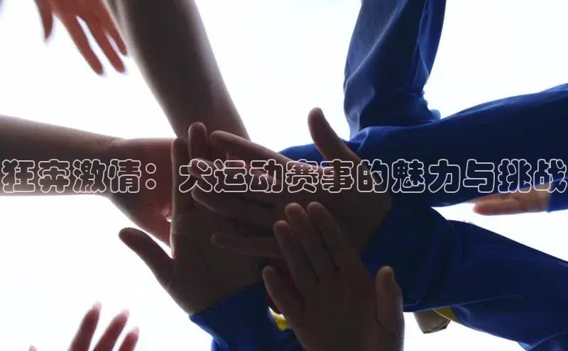 k1体育 十年品牌