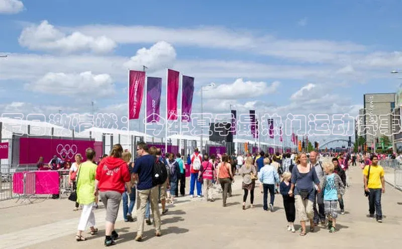 夏日激情燃：今年夏季最热门运动赛事