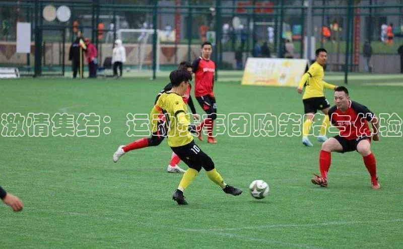 k1体育十年登录入口官方